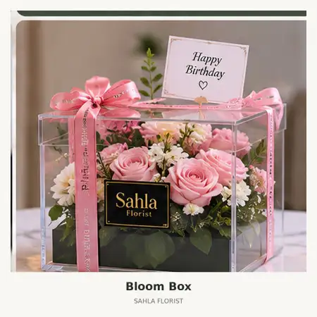 Bloom Box Mappi